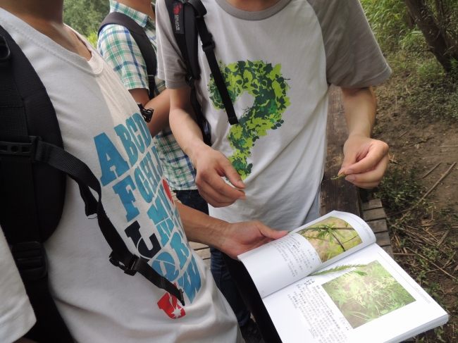 按图索骥01 按图索骥01