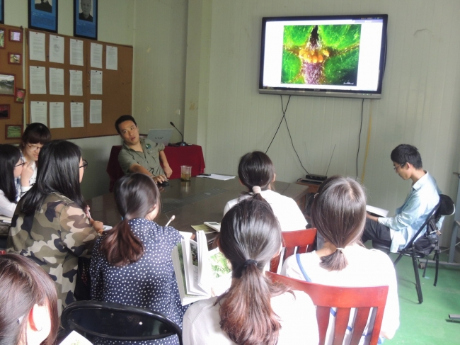 萝藦的副冠与叶腺体02 萝藦的副冠与叶腺体02